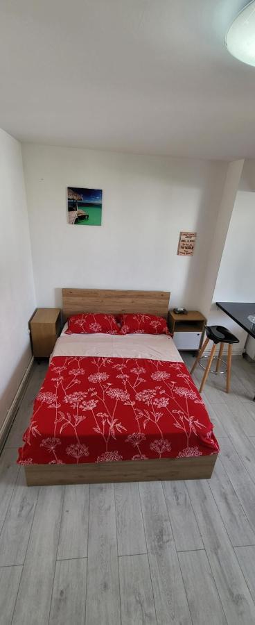 Self Check-In Studio 22 Bulevardul Oltenia Крайова Экстерьер фото