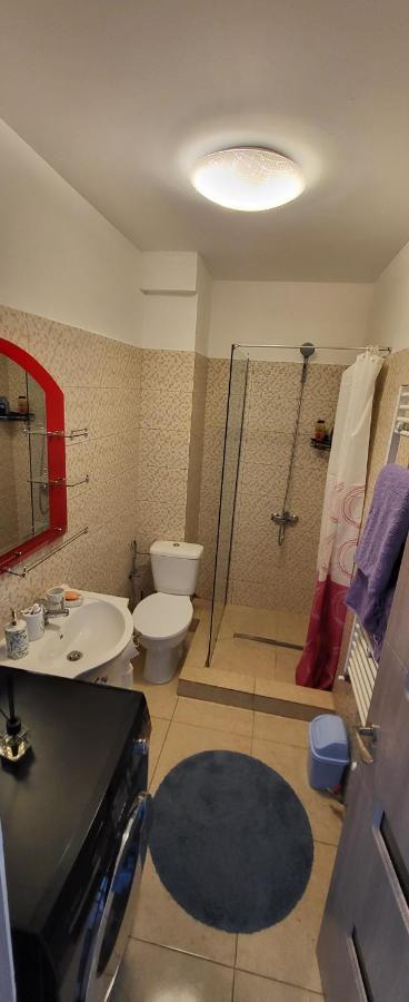 Self Check-In Studio 22 Bulevardul Oltenia Крайова Экстерьер фото
