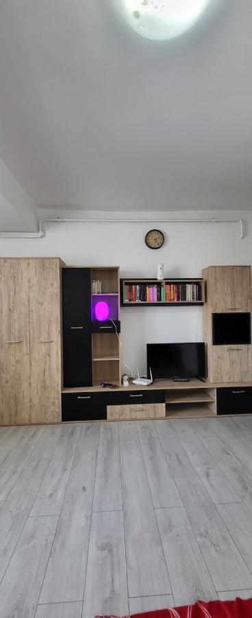 Self Check-In Studio 22 Bulevardul Oltenia Крайова Экстерьер фото